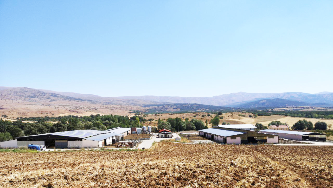 hayvancilik-1.jpg